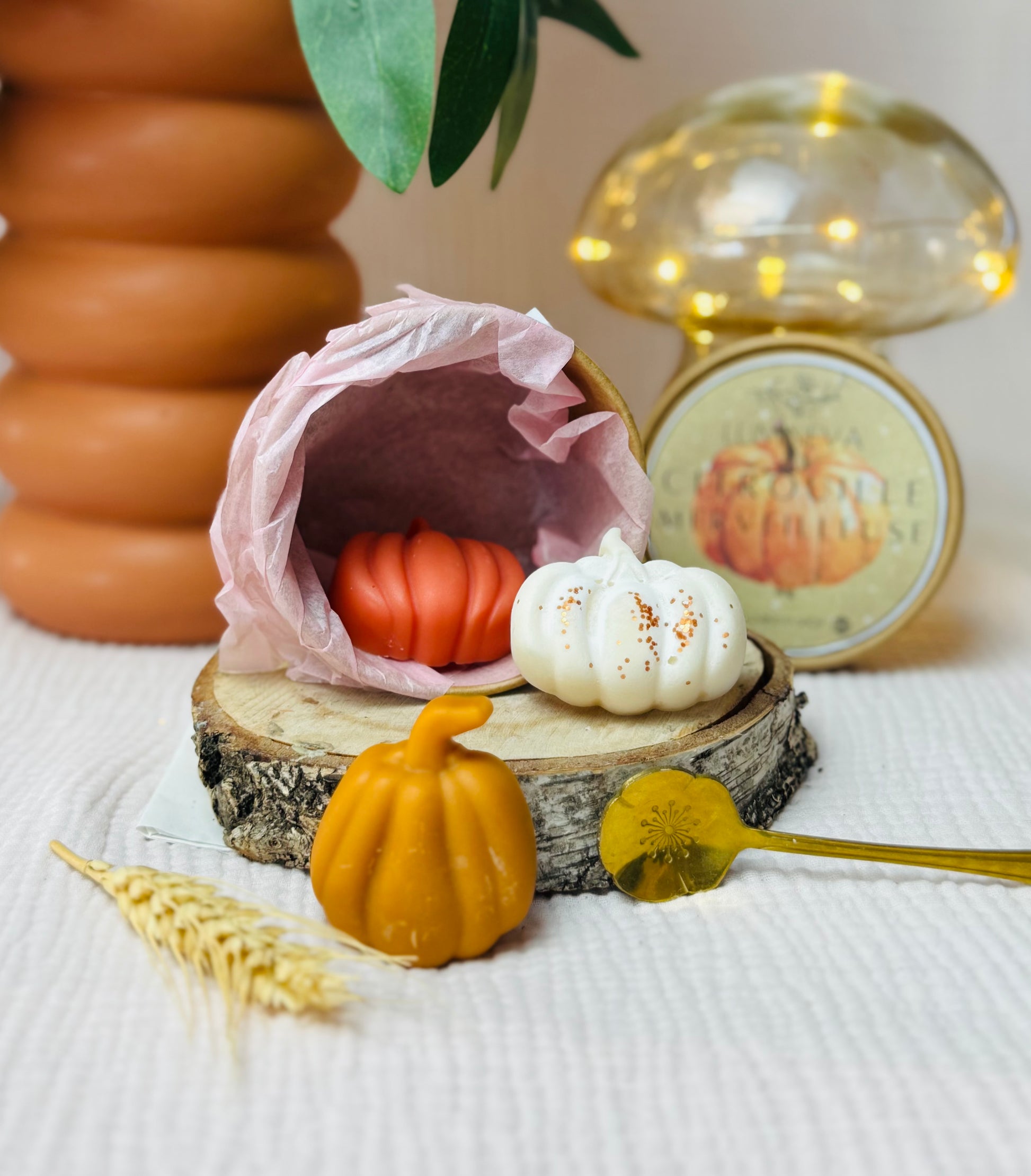 BOX DE FONDANTS - CITROUILLE MERVEILLEUSE