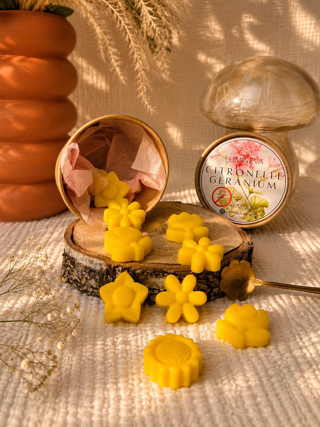 BOX DE FONDANTS - CITRONNELLE GERANIUM