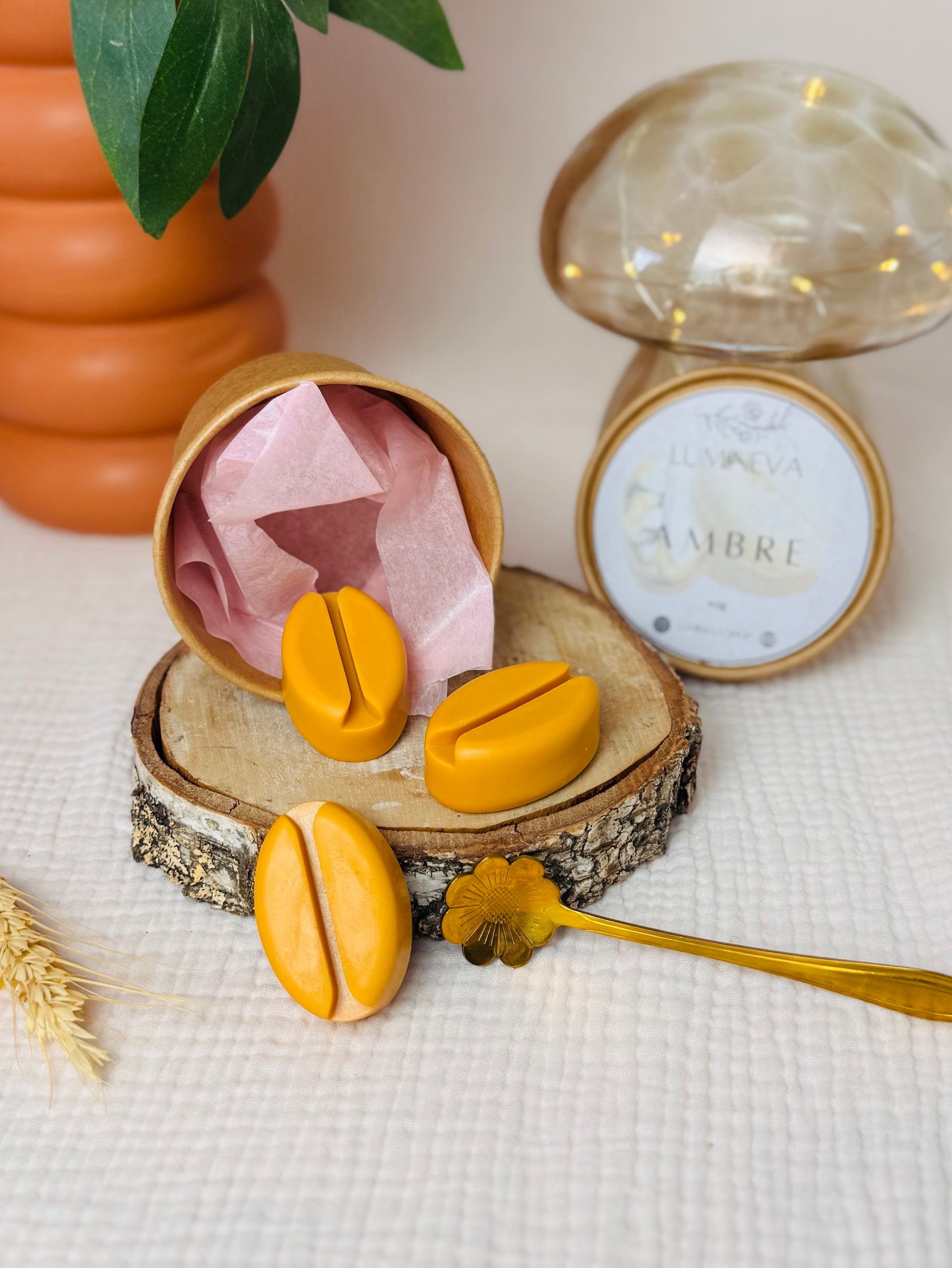 BOX DE FONDANTS - AMBRE