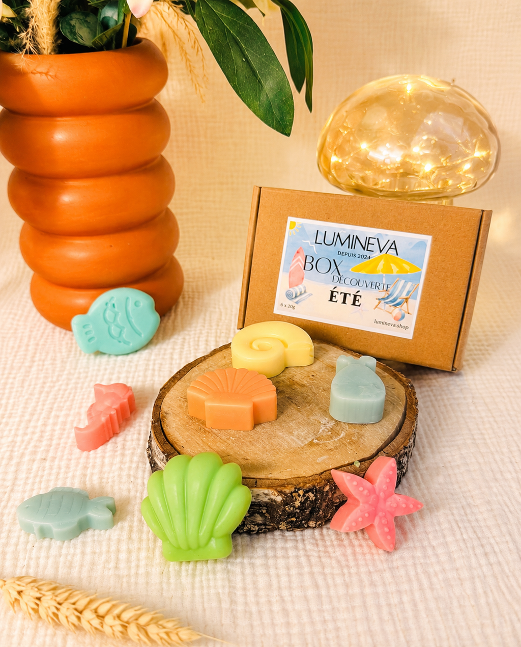 BOX DE FONDANTS -  DECOUVERTE ETE