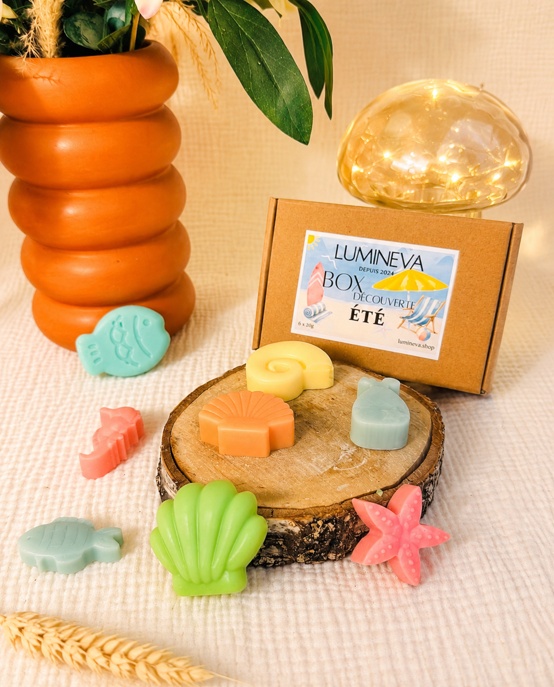 BOX DE FONDANTS -  DECOUVERTE ETE