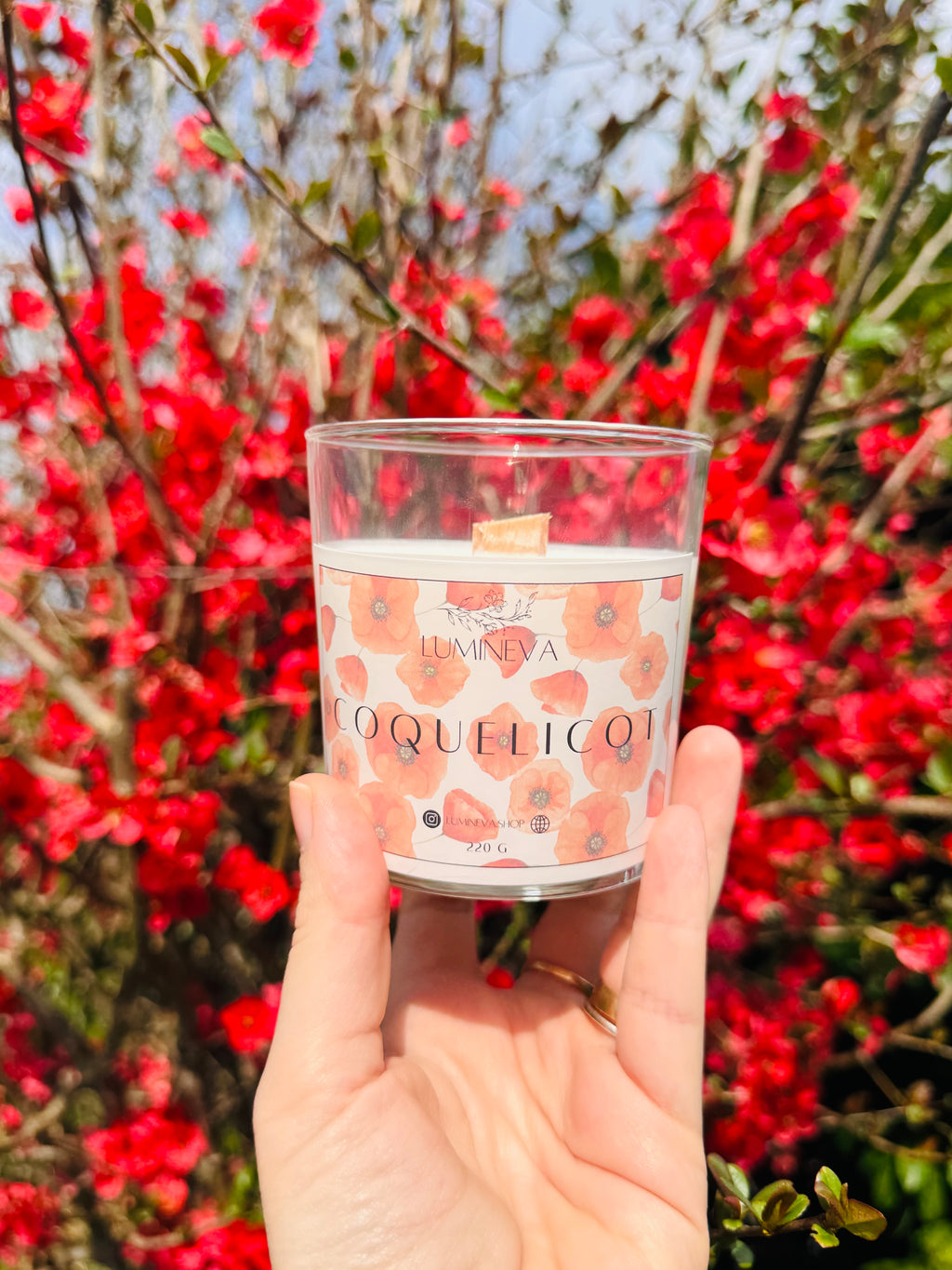 BOUGIE SIGNATURE COQUELICOT