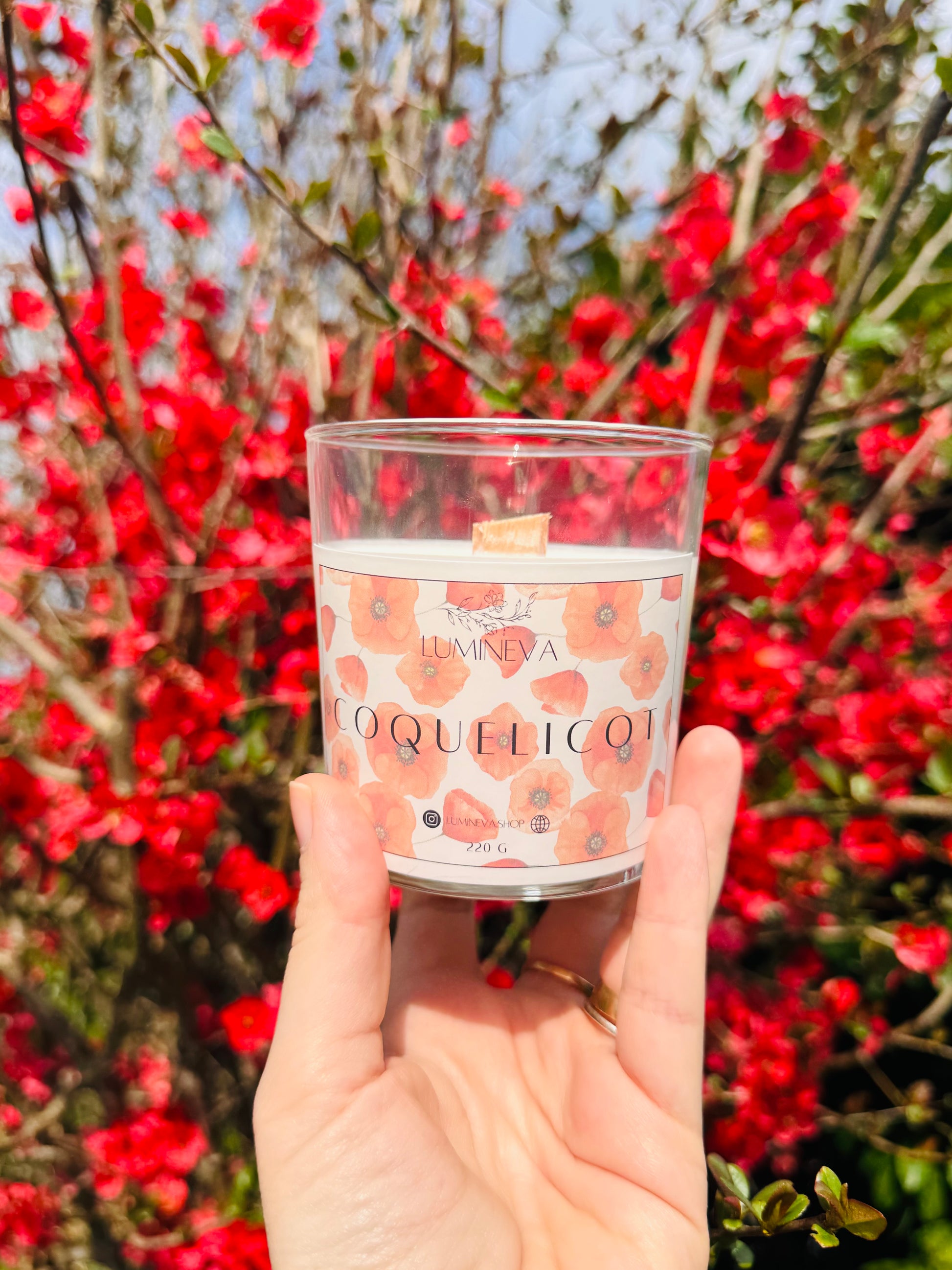 BOUGIE SIGNATURE COQUELICOT