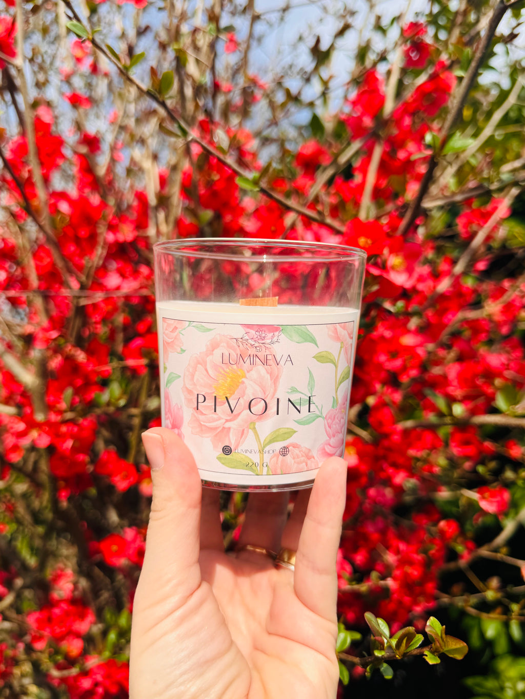BOUGIE SIGNATURE PIVOINE