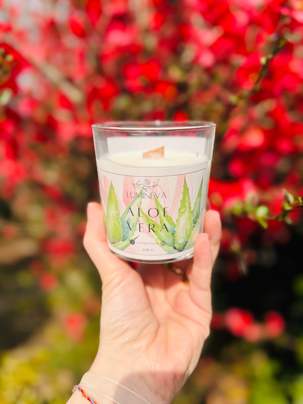 BOUGIE SIGNATURE ALOE VERA