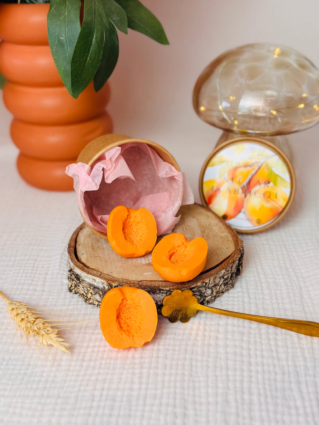 BOX DE FONDANTS - NECTAR D'ABRICOT