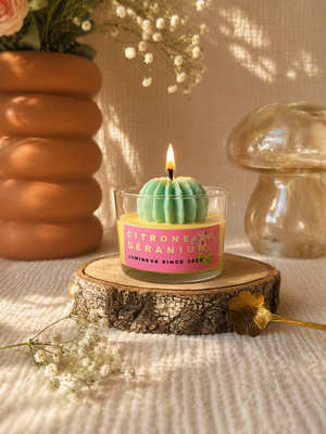 BOUGIE FANTAISIE CITRONNELLE GERANIUM