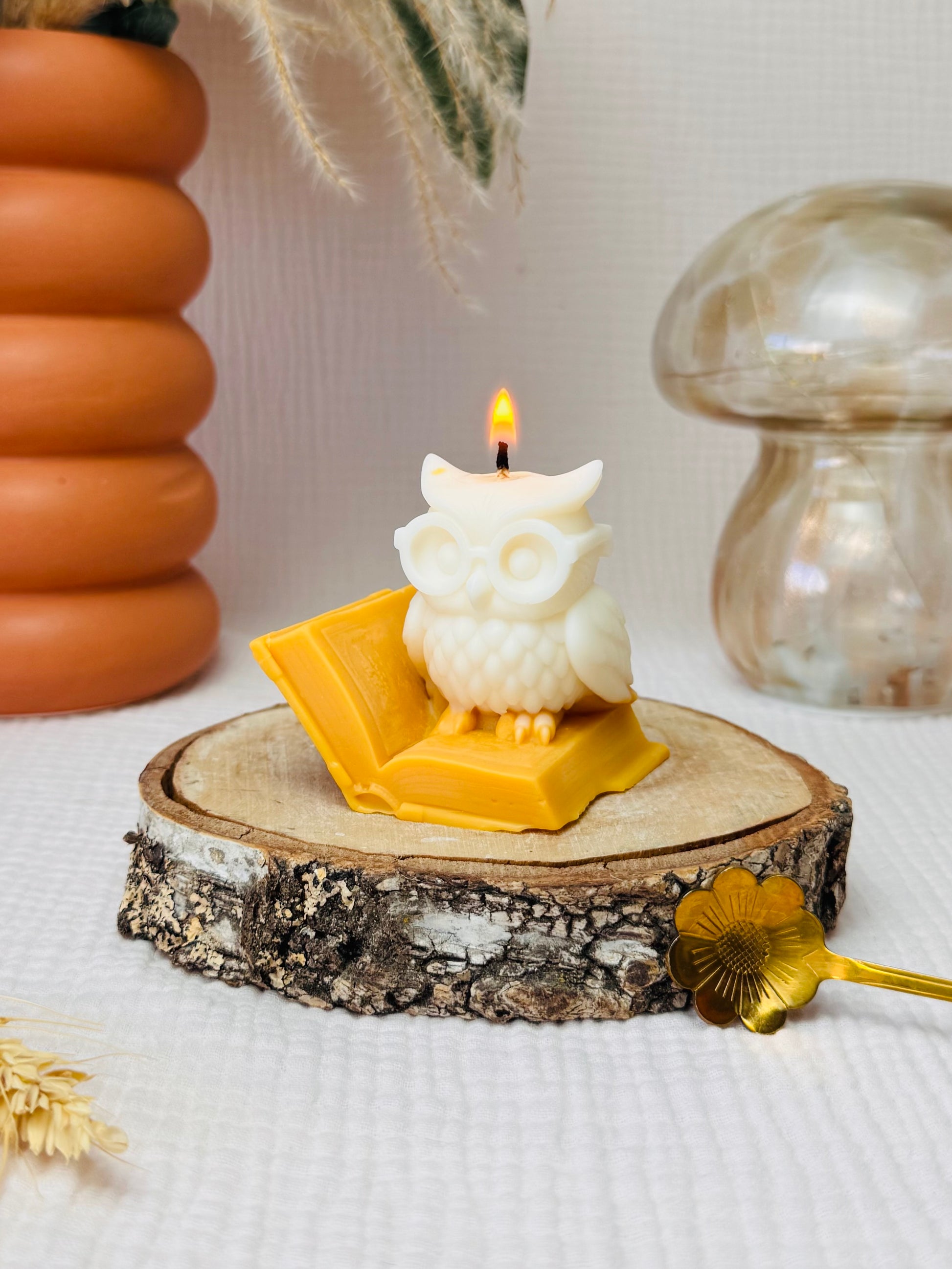 BOUGIE FANTAISIE HIBOU SAVANT