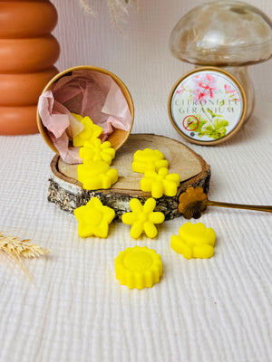 BOX DE FONDANTS - CITRONNELLE GERANIUM