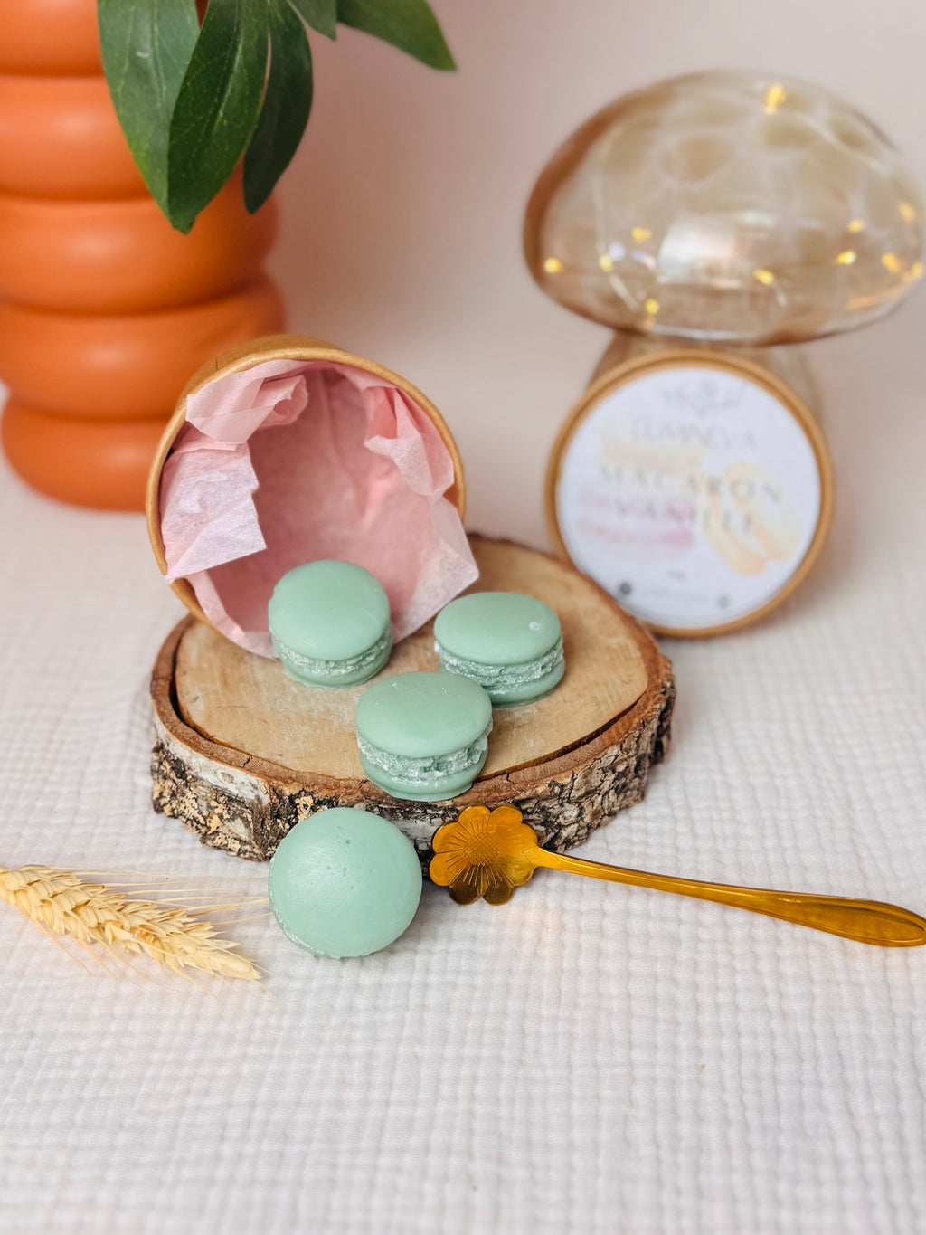 BOX DE FONDANTS - MACARON VANILLE