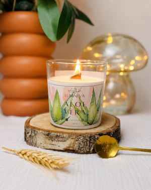 BOUGIE SIGNATURE ALOE VERA