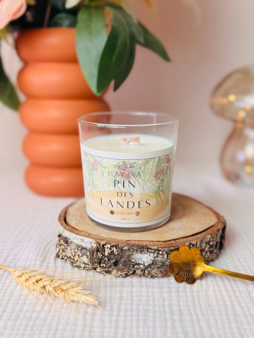 BOUGIE SIGNATURE PIN DES LANDES