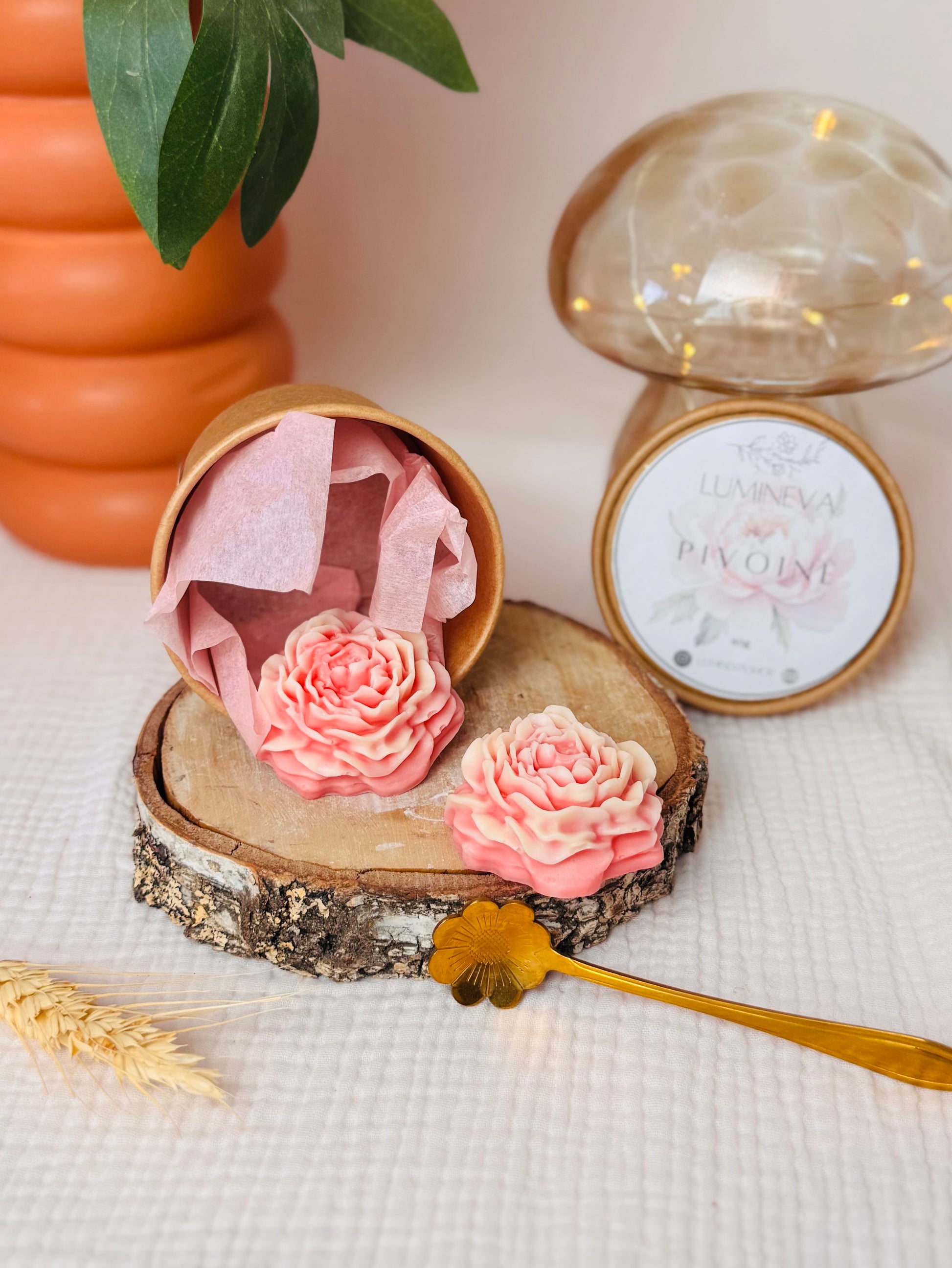 BOX DE FONDANTS - PIVOINE