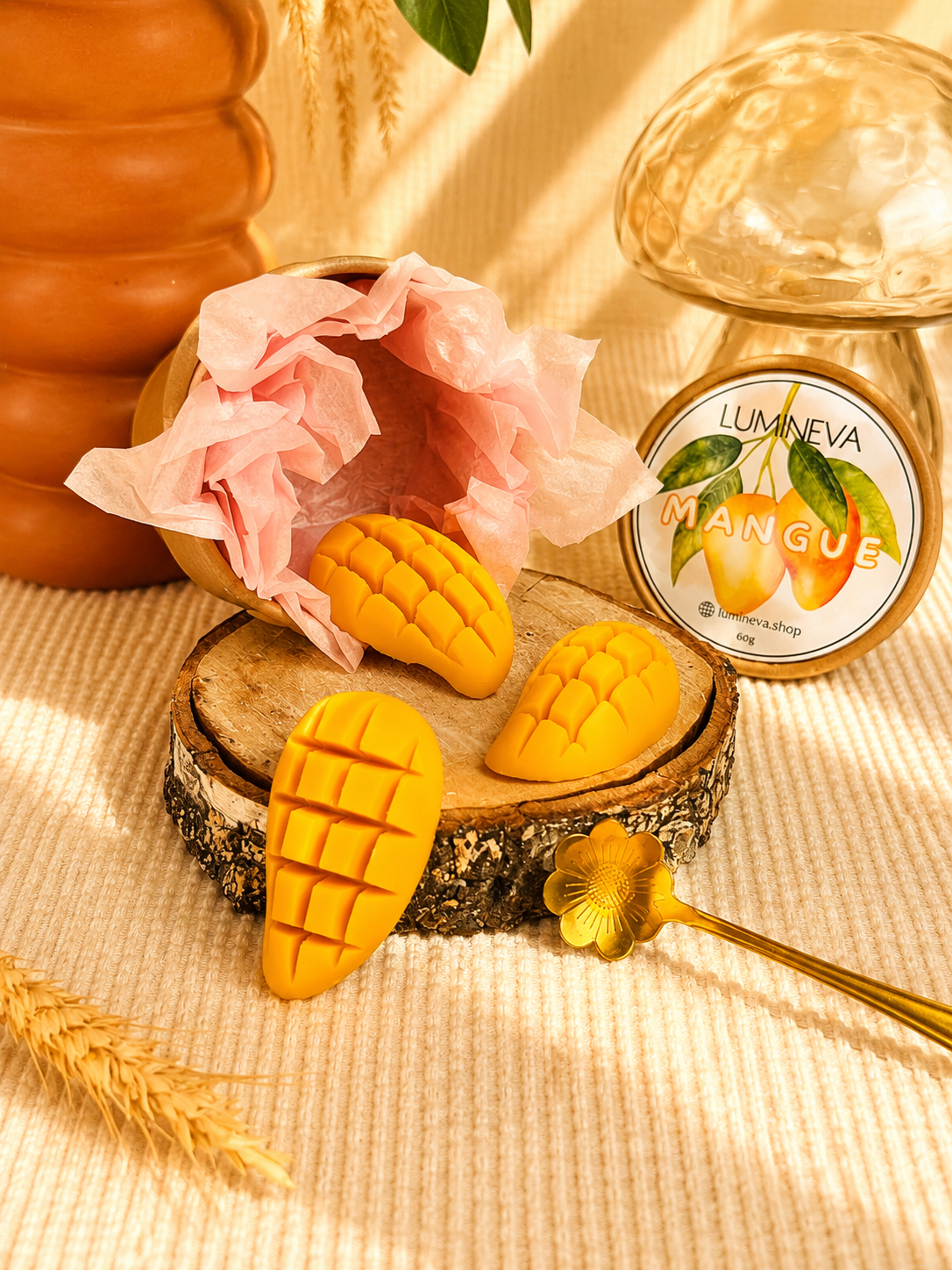 BOX DE FONDANTS -  MANGUE