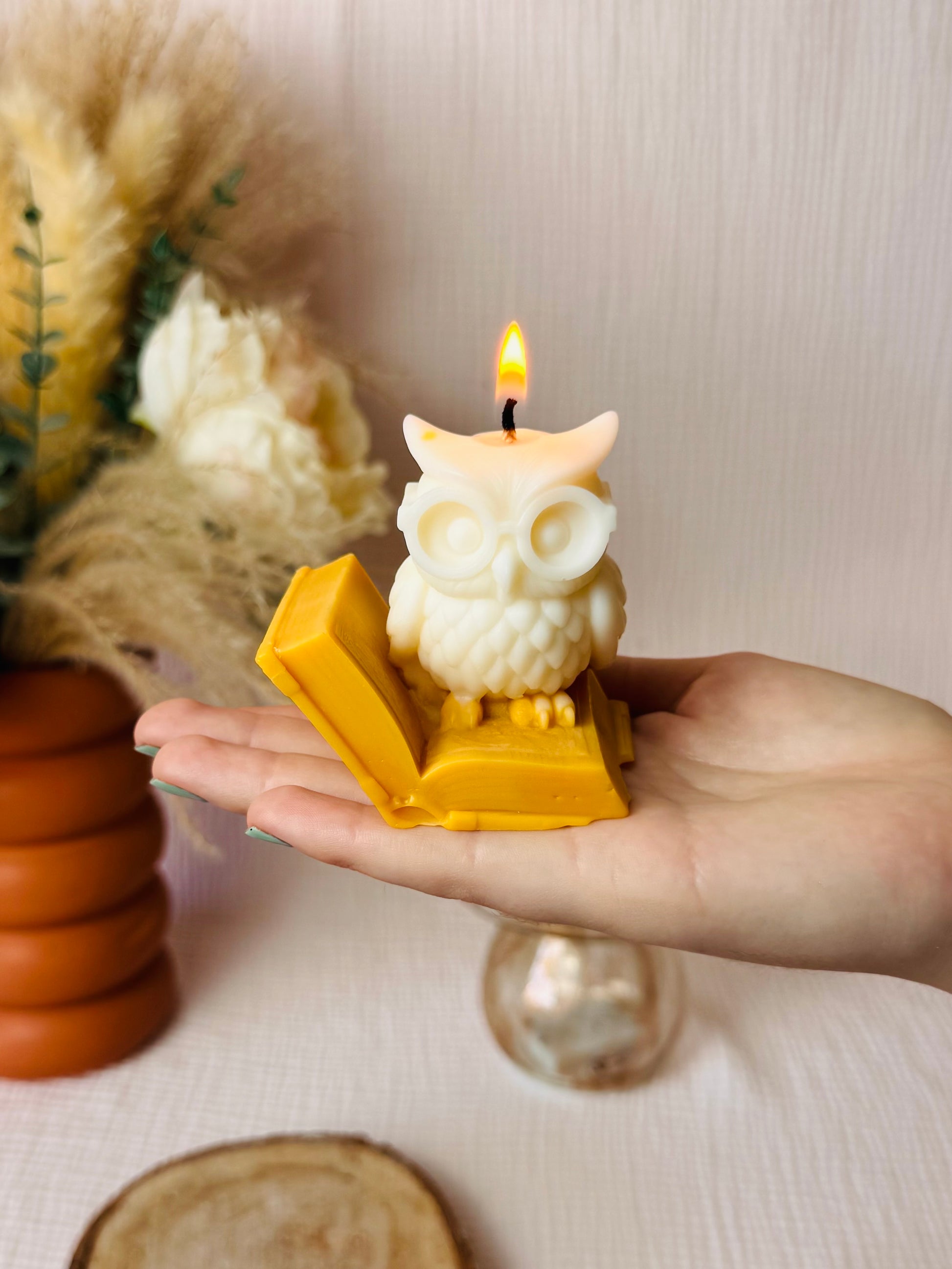 BOUGIE FANTAISIE HIBOU SAVANT
