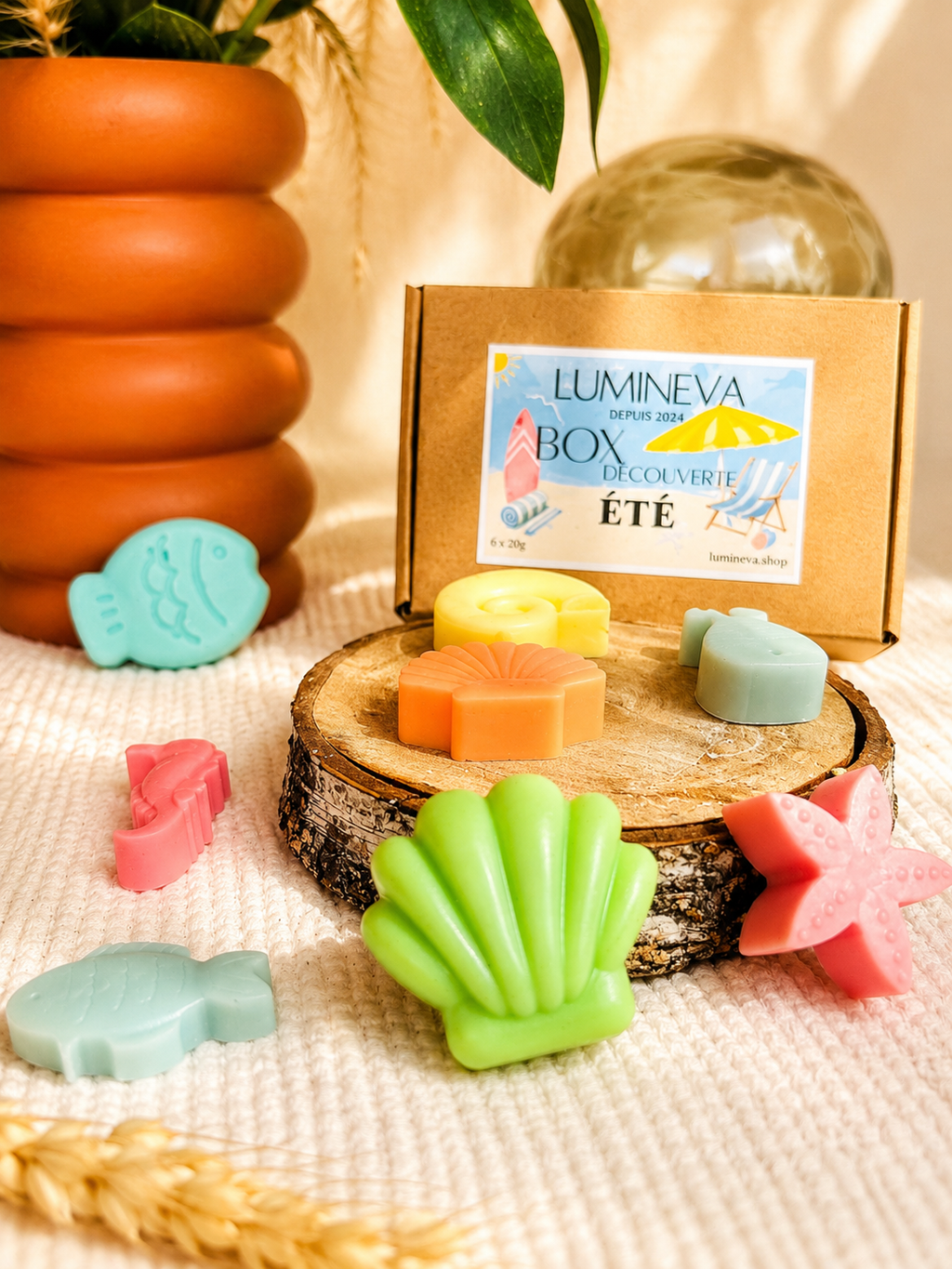 BOX DE FONDANTS -  DECOUVERTE ETE