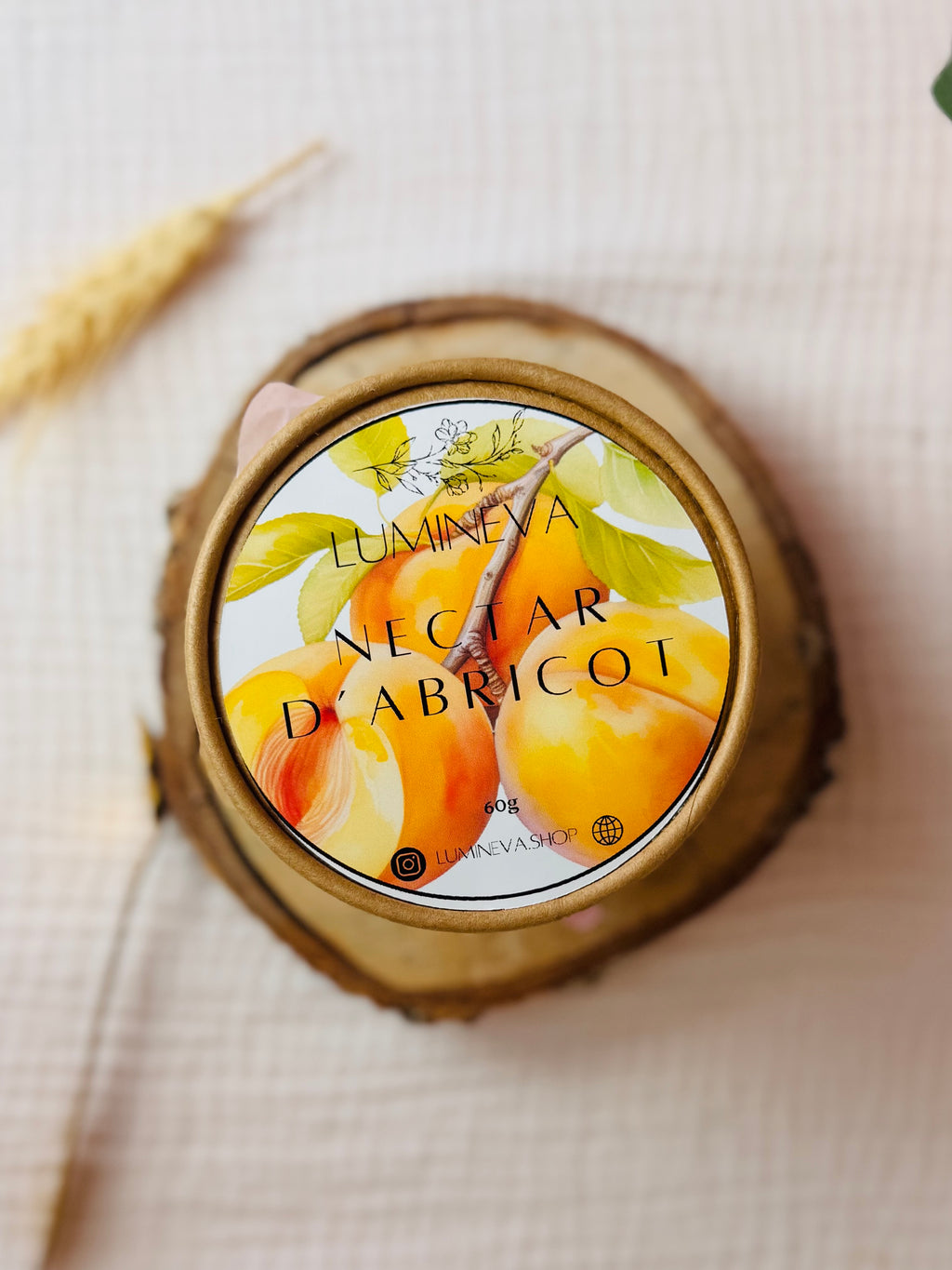 BOX DE FONDANTS - NECTAR D'ABRICOT
