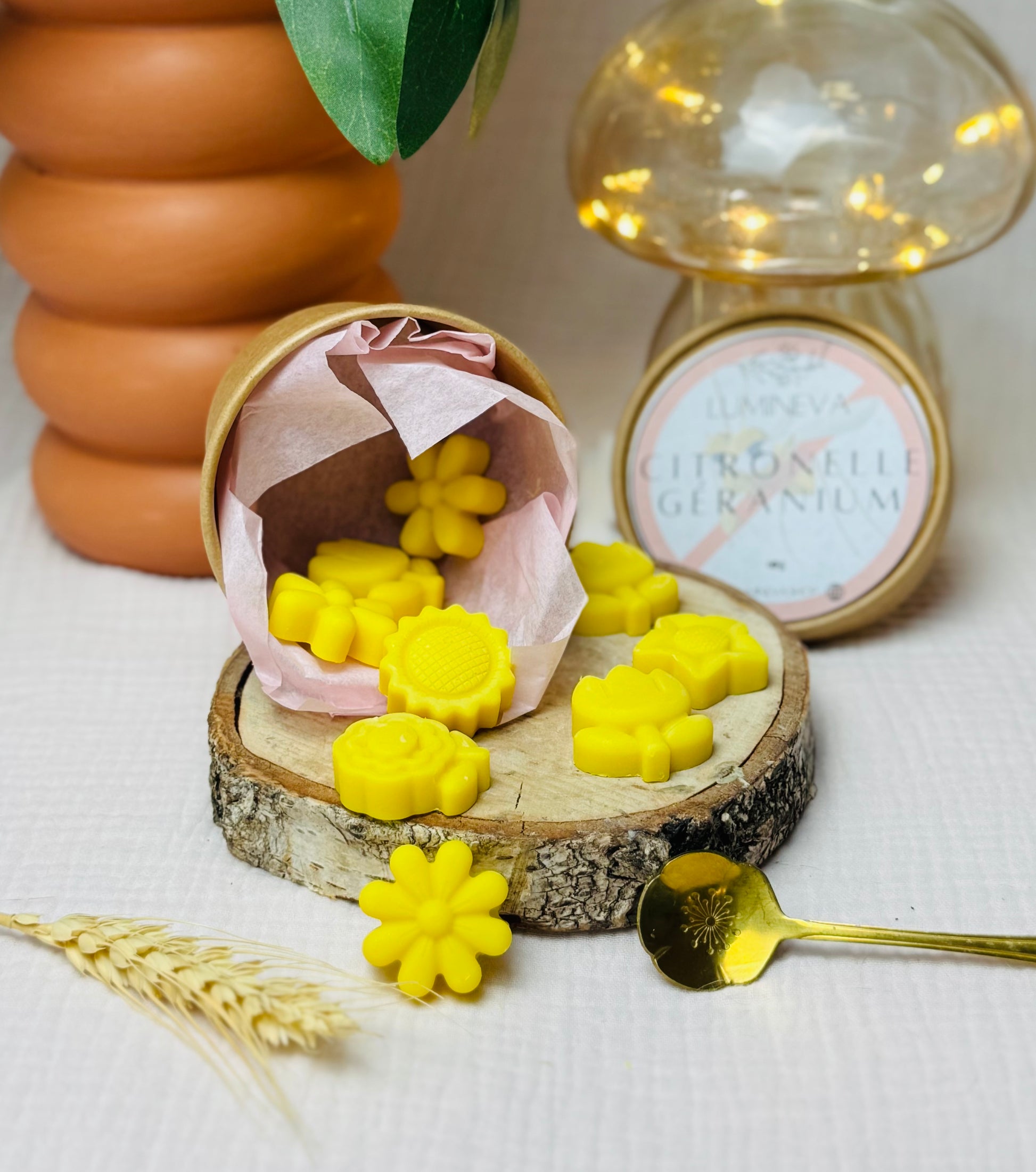 BOX DE FONDANTS - CITRONNELLE GERANIUM ANTI MOUSTIQUE