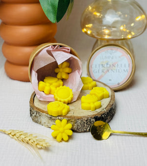 BOX DE FONDANTS - CITRONNELLE GERANIUM ANTI MOUSTIQUE